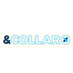 AndCollar Promo Codes