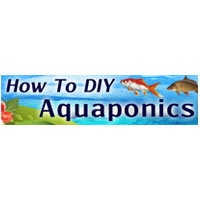 How To Diy Aquaponics Reviews