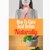 Acid Reflux Cure Reviews