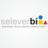 SeleverBI  Logo