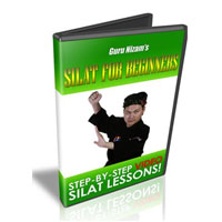 Silat For Beginners Video Trainin Coupons