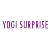 Yogi Surprise Promo Codes