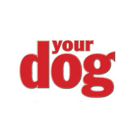 Your Dog Magazine Discount Codes