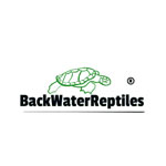 Back Water Reptiles Coupon Codes and Deals