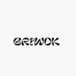 Briwok Coupon Codes and Deals