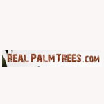 Real Palm Trees Coupon Codes and Deals